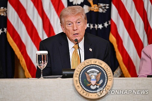 트럼프, 한중일 거론 "호르무즈 해협 문제 도와주길 원해" 재차 압박(종합)_최진우
