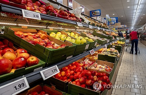 독일 3월 GfK 소비자신뢰지수 -29.0…예상치 부합(상보)_강수지