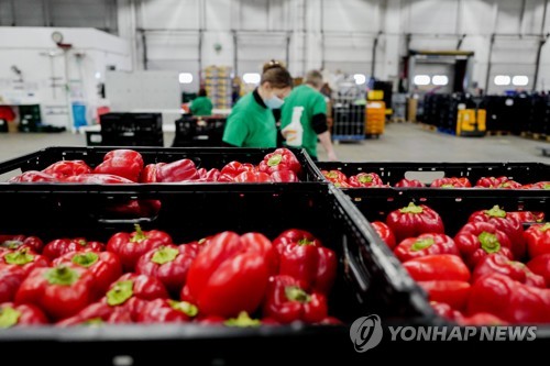 독일 3분기 GDP -0.1%…경기침체 모면_정선영