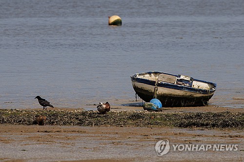 출처: 연합뉴스 자료 사진