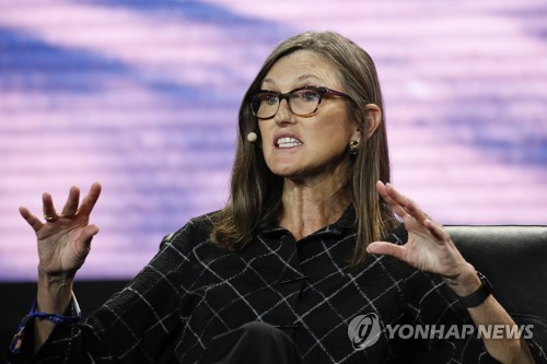 캐시 우드 아크 ETF, 가상화폐 랠리에 호성적 거둬_문정현