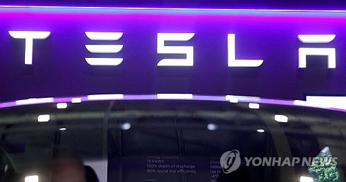 테슬라, 가격 소폭 인상·오너리스크 부각…주가 하락_임하람