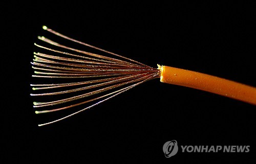 트럼프 '구리 50% 관세' 발표에 美 구리 가격 급등…英과 가격차 25%_윤시윤