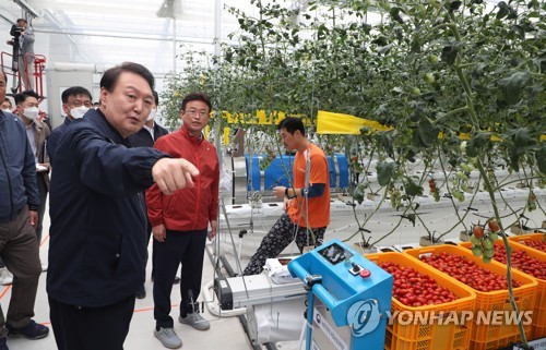 (상주=연합뉴스) 서명곤 기자 = 윤석열 대통령이 5일 오전 경북 상주시 스마트팜 혁신밸리를 방문, 이철우 경북도지사와 방울토마토 온실을 살펴보고 있다.  2022.10.5 [대통령실통신사진기자단] seephoto@yna.co.kr