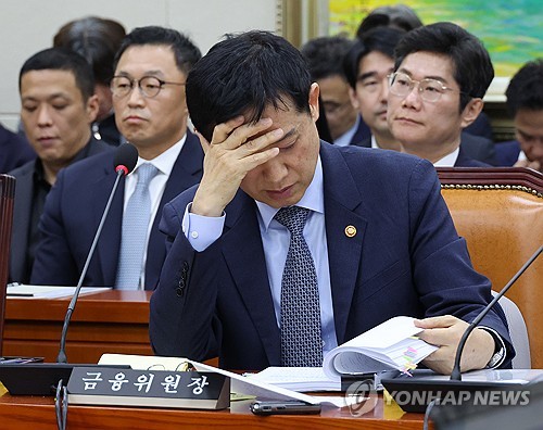 국감장 김주현 금융위원장