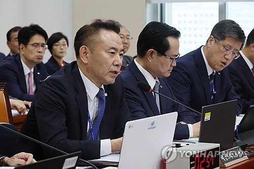 예보, 국감서 MG손보 부실·서울보증보험 감사 선임 '뭇매'_정지서