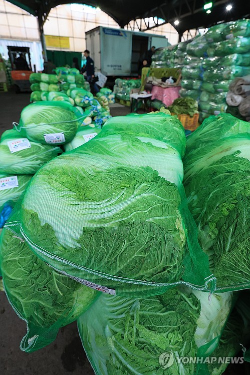 기재차관, 가락시장서 농산물 가격·수급 집중 점검_최진우