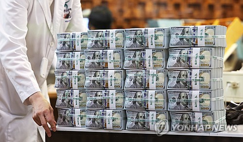 '달러의 종말'은 지나친 과장…"세계 외환보유고 비중↑"_윤시윤