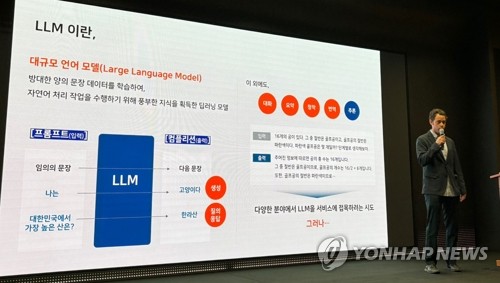 [남승표의 궁변통구] AI과잉투자와 촘스키언 모먼트_남승표
