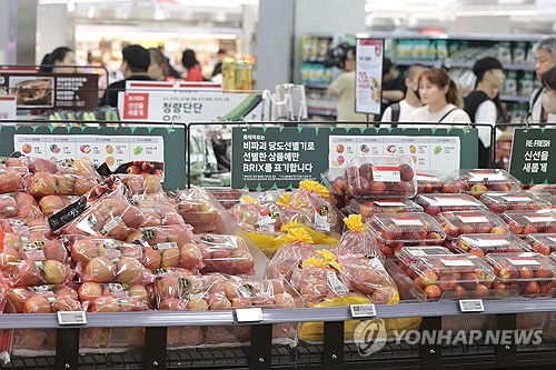 [하반기 경제] 물가관리에 5.6조 지원…공공 건설투자 15조 확대_최욱