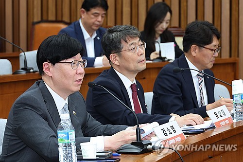 한은 부총재 "금리 인하 기대의 금융안정 영향 점검할 것"(종합)_한종화
