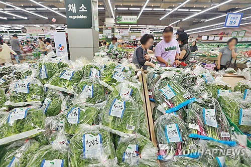 (서울=연합뉴스) 진연수 기자 = 장마철 집중호우 및 여름철 폭염으로 채소 가격이 강세를 보이고 있다. 농식품부에 따르면 상추는 주산지인 충남 논산시, 전북 익산시에서 침수 피해가 발생해 공급이 줄었다고 밝혔다. 사진은 28일 서울 시내 한 대형마트에 진열된 상추. 2024.7.28 jin90@yna.co.kr