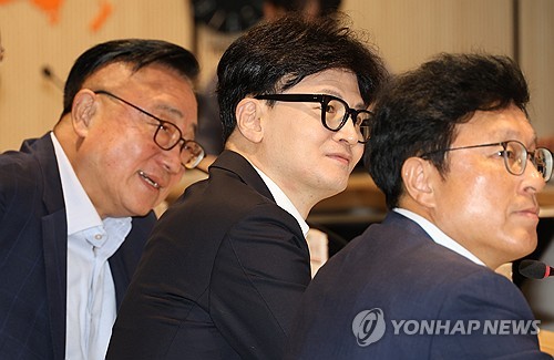 반도체 '직접 보조금 지원' 당정 협의 마무리 단계_한종화