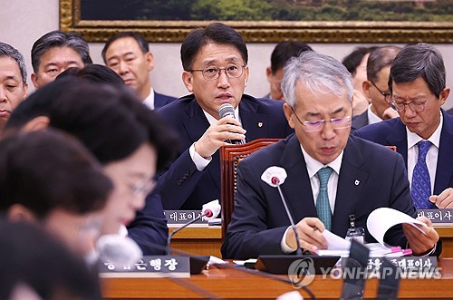 질의에 답변하는 서국동 NH농협손해보험 대표이사
