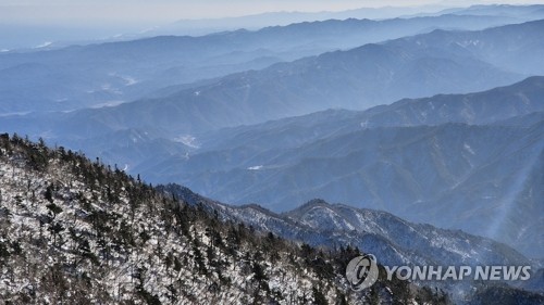 11월 자동차보험 손해율 92.4%…폭설 영향_양용비