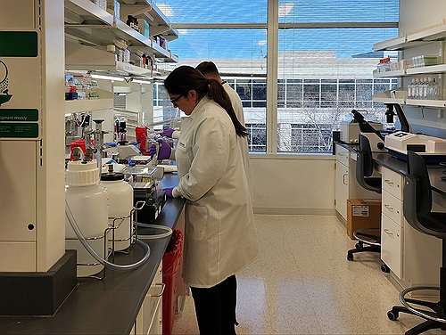 [남승표의 궁변통구] 그럴듯한 것과 그런 것_남승표