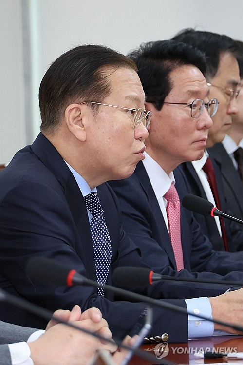 권영세, 민주 崔대행 탄핵 검토에 "대한민국 망가뜨리려는 것"_정지서