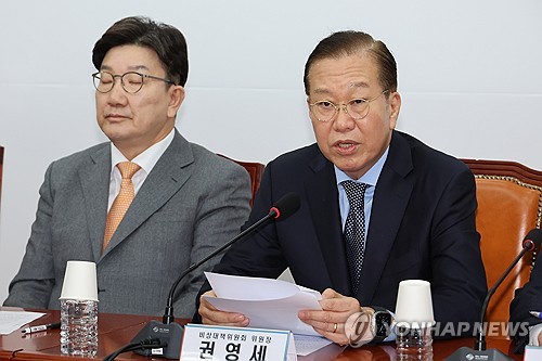 권영세, 민주 崔대행 탄핵 검토에 "대한민국 망가뜨리려는 것"(종합)_정지서