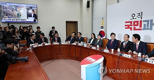 권영세 "헌재 결정 무겁게 받아들여…겸허히 수용"_온다예