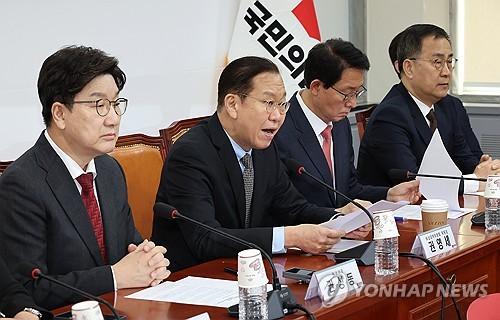 급부상한 개헌론…국힘 "대선·개헌 동시투표"·민주 "내란종식이 먼저"_온다예