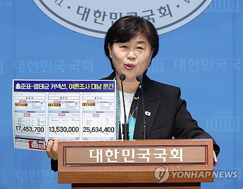 민주, 차기 원내대표 레이스 시작…서영교 출마 공식화_황남경