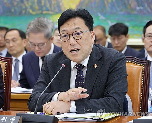 민주당,  금융위 정책 기능 기재부로 이관 검토_황남경