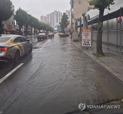 지난달 자동차보험 손해율 81.6%…보험료 인하·원가 부담 지속_이수용