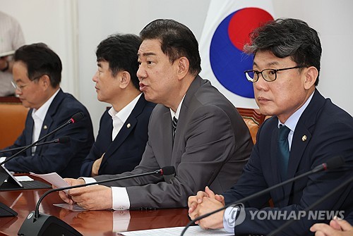 민주, 집중투표제 등 포함 '더 센' 상법 개정 7월 국회서 처리_황남경