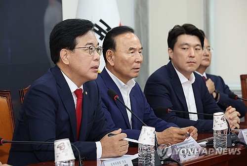 송언석 "상호관세 15% 적절 수준…자동차 관세 15%는 우려"_온다예