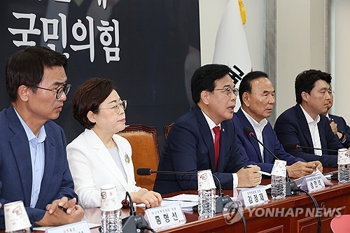 여야, 관세타결 입장차…국힘 "많은 양보" vs 민주 "실패 기대했나"_황남경