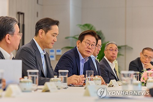 정상회담 방미길 오른 재계 총수들, 이번에도 '키맨' 될까_유수진