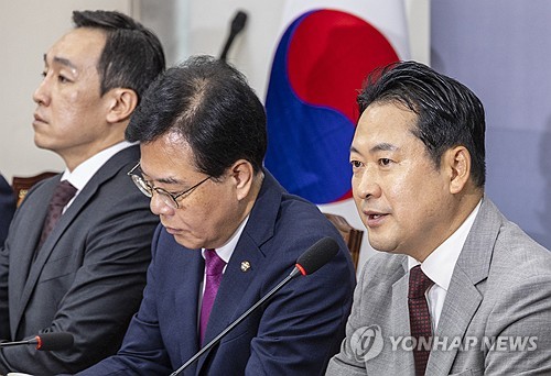 국힘 김민수, 한동훈 겨냥 "당원게시판 조사, 당무감사와 함께 진행돼야"_온다예