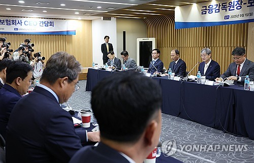 금감원장 "삼성생명 회계 이슈 방향 잡았다…원칙에 충실할 것"(상보)_허동규
