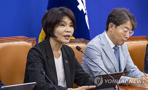 민주 "상법상 배임죄 폐지 논란없어…형법은 구체화 필요"_황남경