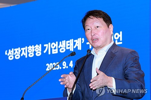 최태원 "기업 규모별 규제 철폐하지 않으면 경제성장 없어"(종합)_정수인