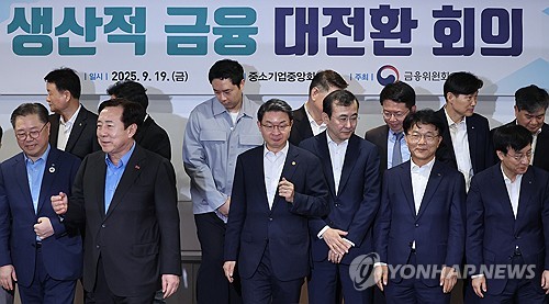 보험硏 "생산적 금융 위해 킥스 조정 필요…기본자본 규제 부담 커"_이수용