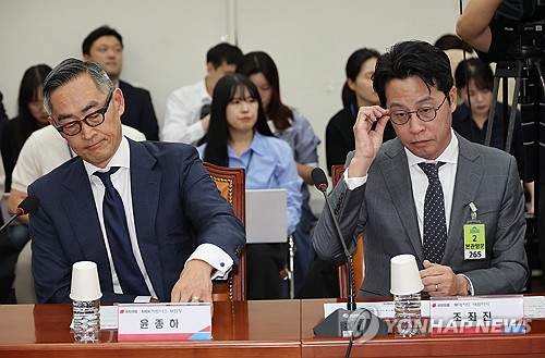 [현장에서] 모든 것이 사모펀드 탓인가_김학성