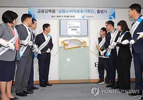 국감·조직개편 '이중과제'…금감원, 소비자보호 쇄신에 박차_윤슬기