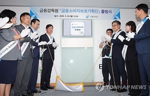 금감원, 민원 접수 즉시 검사 착수 시스템 만든다_윤슬기