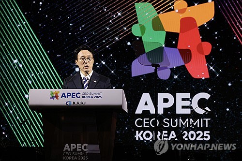金총리, APEC CEO서밋 환영만찬서 '3B' 비전 제시_황남경