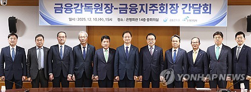 금감원장-금융지주회장 간담회