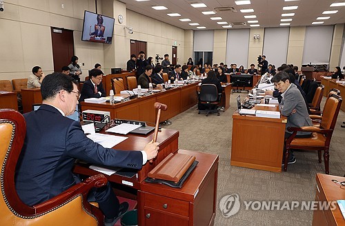 '개헌 선결조건' 국민투표법 개정안, 與 주도로 행안위 통과_온다예