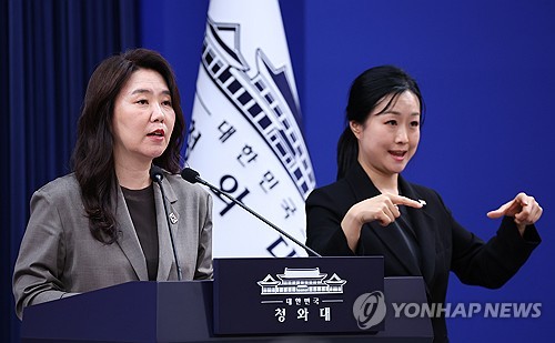 靑 "김용범 발언 오독·악용 안 돼…정부 공식 입장 아냐"_정지서