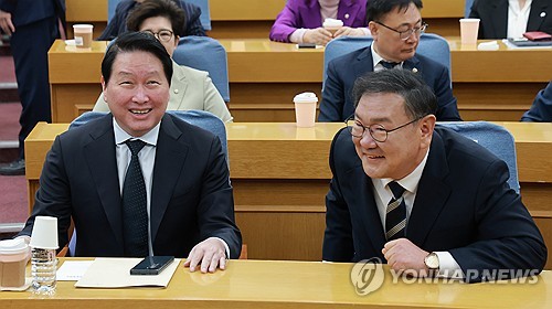 대화하는 김태년 의원과 최태원 회장