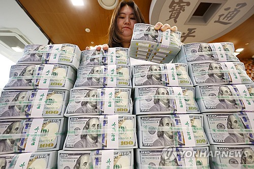 한국물 활황 속 변동성 경계감은 여전…환율 영향은_피혜림