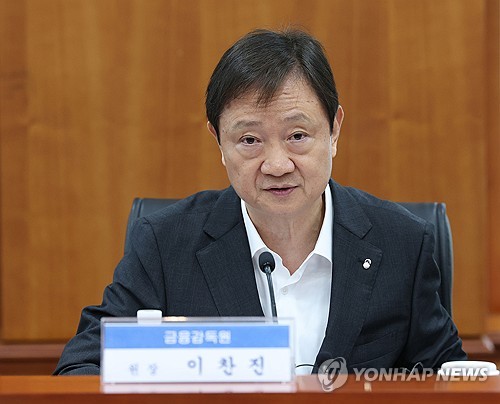 이찬진 금융감독원장