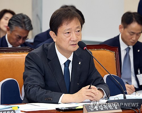 이찬진 금융감독원장