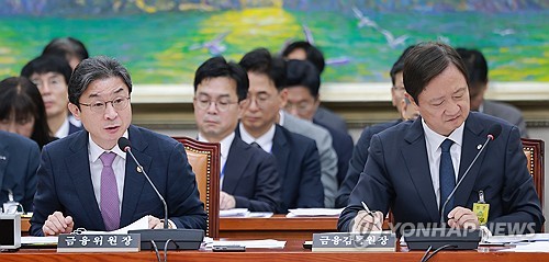 이억원 "금융지주 지배구조 개선안, 법 개정 통해 제도화할 것"_윤슬기