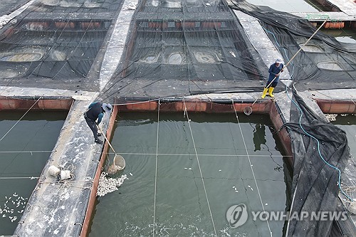 폭염에 고수온 피해 비상