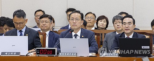 대미 투자 진행 경과 관련 질의에 답하는 이형일 부총리